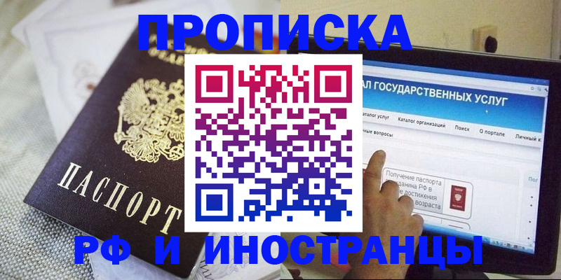 прописка законно в Бийске